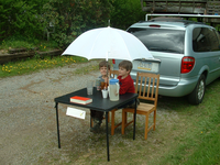 lemonade stand and sign