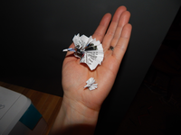 noahs origami